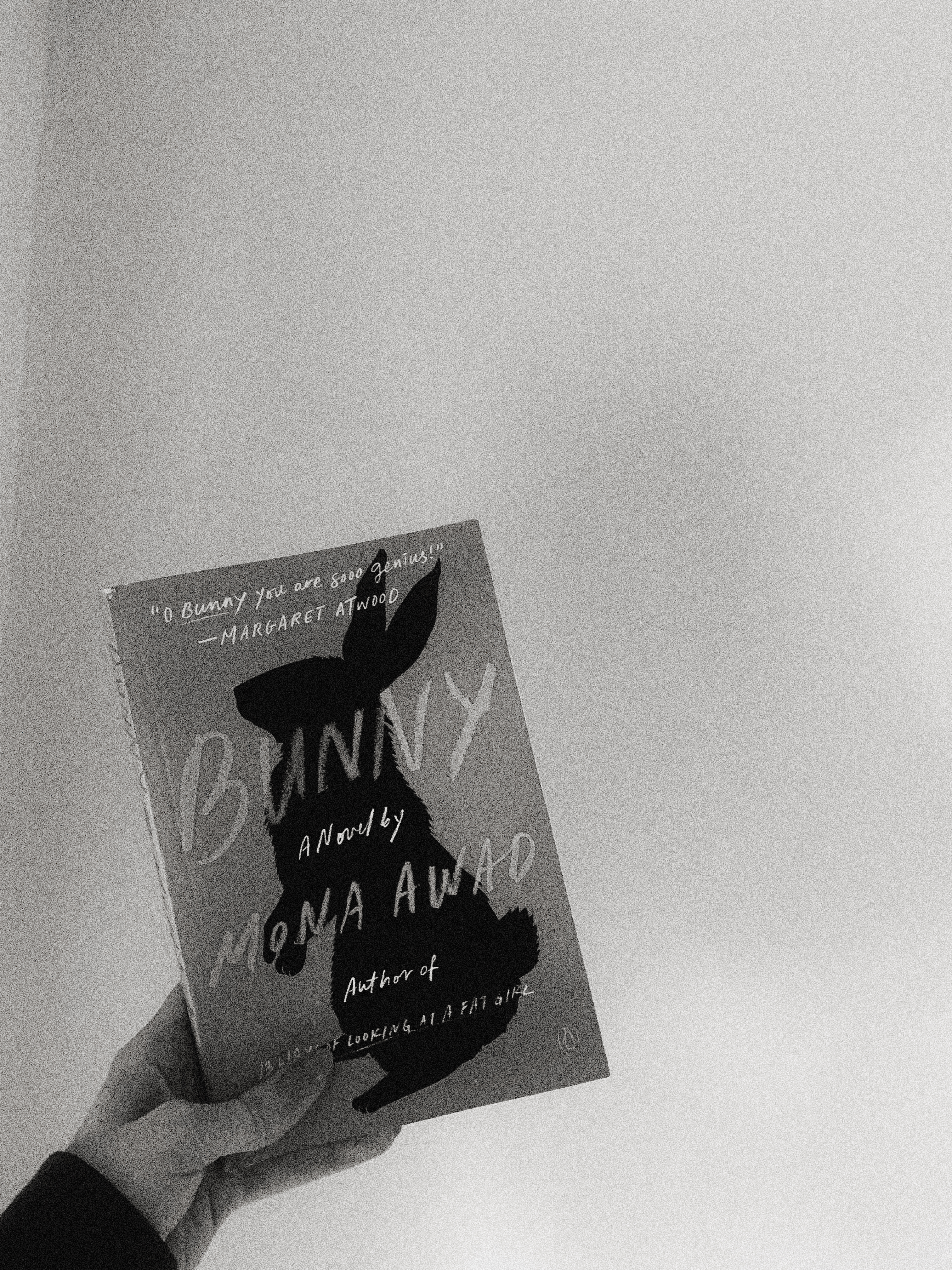 image of Bunny book